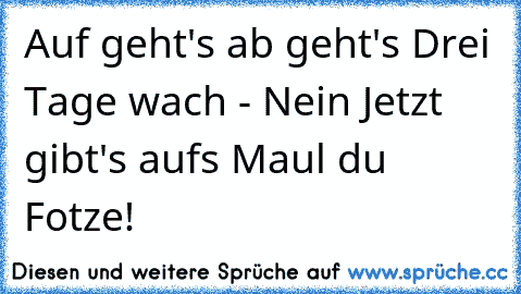 Auf geht's ab geht's Drei Tage wach - Nein Jetzt gibt's aufs Maul du Fotze!