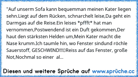 "Auf unserm Sofa kann bequem
man meinen Kater liegen sehn.
Liegt auf dem Rücken, schnarchelt leise,
Da geht ein Darmgas auf die Reise.
Ein leises *pffft* hat man vernommen,
Postwendend ist ein Duft gekommen,
Der haut den stärksten Helden um,
Mein Kater macht die Nase krumm.
Ich taumle hin, wo Fenster sind
und röchle „Sauerstoff, GESCHWIND!!!“
Reiss auf das Fenster, große Not,
Nochmal so einer –...