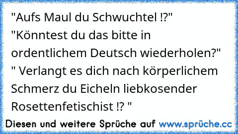 "Aufs Maul du Schwuchtel !?"  "Könntest du das bitte in ordentlichem Deutsch wiederholen?" " Verlangt es dich nach körperlichem Schmerz du Eicheln liebkosender Rosettenfetischist !? "