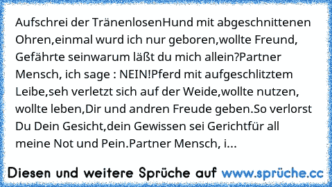 Aufschrei der Tränenlosen
Hund mit abgeschnittenen Ohren,
einmal wurd ich nur geboren,
wollte Freund, Gefährte sein
warum läßt du mich allein?
Partner Mensch, ich sage : NEIN!
Pferd mit aufgeschlitztem Leibe,
seh verletzt sich auf der Weide,
wollte nutzen, wollte leben,
Dir und andren Freude geben.
So verlorst Du Dein Gesicht,
dein Gewissen sei Gericht
für all meine Not und Pein.
Partner Mensch...