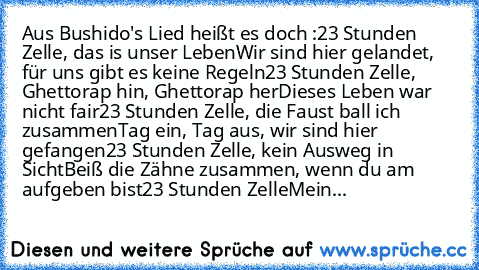 Aus Bushido's Lied heißt es doch :
23 Stunden Zelle, das is unser Leben
Wir sind hier gelandet, für uns gibt es keine Regeln
23 Stunden Zelle, Ghettorap hin, Ghettorap her
Dieses Leben war nicht fair
23 Stunden Zelle, die Faust ball ich zusammen
Tag ein, Tag aus, wir sind hier gefangen
23 Stunden Zelle, kein Ausweg in Sicht
Beiß die Zähne zusammen, wenn du am aufgeben bist
23 Stunden Zelle
Mein...