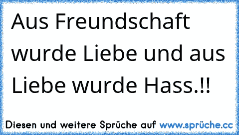 Aus Freundschaft wurde Liebe und aus Liebe wurde Hass.!!