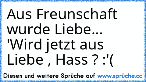 Aus Freunschaft wurde Liebe... '♥
Wird jetzt aus Liebe , Hass ? :'(