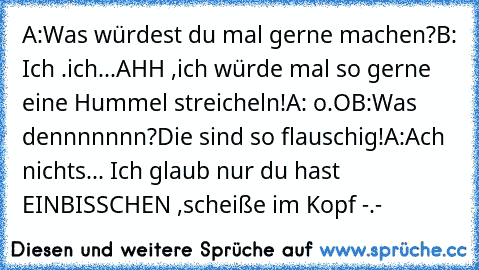 A:Was würdest du mal gerne machen?
B: Ich .ich...AHH ,ich würde mal so gerne eine Hummel streicheln!
A: o.O
B:Was dennnnnnn?Die sind so flauschig!
A:Ach nichts... Ich glaub nur du hast EINBISSCHEN ,scheiße im Kopf -.-