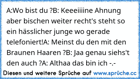 A:Wo bist du ?
B: Keeeiiiine Ahnung aber bischen weiter recht's steht so ein hässlicher junge wo gerade telefoniert!
A: Meinst du den mit den Braunen Haaren ?
B: Jaa genau siehs't den auch ?
A: Althaa das bin ich -.-