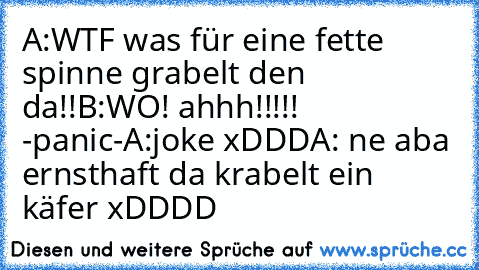 A:WTF was für eine fette spinne grabelt den da!!
B:WO! ahhh!!!!! -panic-
A:joke xDDD
A: ne aba ernsthaft da krabelt ein käfer xDDDD