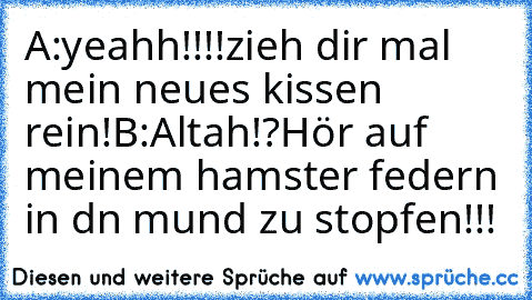 A:yeahh!!!!zieh dir mal mein neues kissen rein!
B:Altah!?Hör auf meinem hamster federn in dn mund zu stopfen!!!