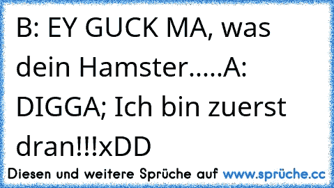 B: EY GUCK MA, was dein Hamster.....
A: DIGGA; Ich bin zuerst dran!!!
xDD