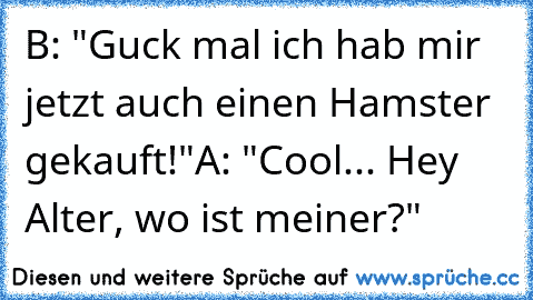 B: "Guck mal ich hab mir jetzt auch einen Hamster gekauft!"
A: "Cool... Hey Alter, wo ist meiner?"