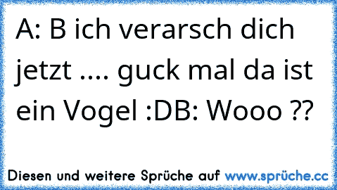 A: B ich verarsch dich jetzt .... guck mal da ist ein Vogel :D
B: Wooo ??