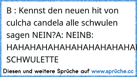 B : Kennst den neuen hit von culcha candela alle schwulen sagen NEIN?
A: NEIN
B: HAHAHAHAHAHAHAHAHAHAHAHA SCHWULETTE