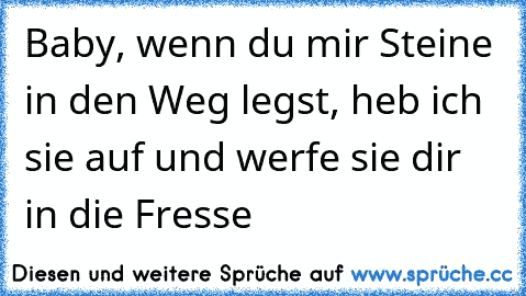 Baby, wenn du mir Steine in den Weg legst, heb ich sie auf und werfe sie dir in die Fresse ♥