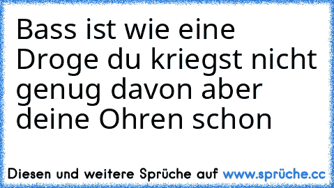 Bass ist wie eine Droge du kriegst nicht genug davon aber deine Ohren schon