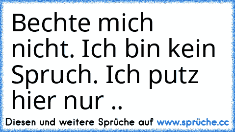 Bechte mich nicht. Ich bin kein Spruch. Ich putz hier nur ..