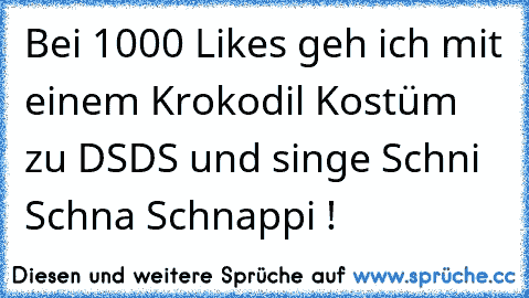 Bei 1000 Likes geh ich mit einem Krokodil Kostüm zu DSDS und singe Schni Schna Schnappi !