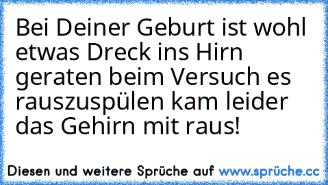 Bei Deiner Geburt ist wohl etwas Dreck ins Hirn geraten beim Versuch es rauszuspülen kam leider das Gehirn mit raus!  ☆