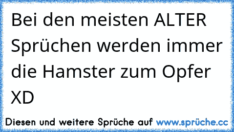 Bei den meisten ALTER Sprüchen werden immer die Hamster zum Opfer XD