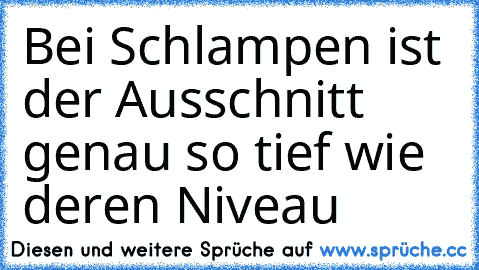 Bei Schlampen ist der Ausschnitt genau so tief wie deren Niveau