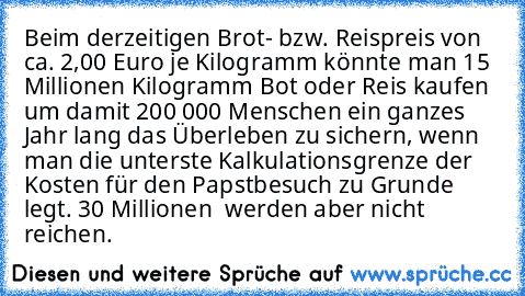 Beim derzeitigen Brot- bzw. Reispreis von ca. 2,00 Euro je Kilogramm könnte man 15 Millionen Kilogramm Bot oder Reis kaufen um damit 200 000 Menschen ein ganzes Jahr lang das Überleben zu sichern, wenn man die unterste Kalkulationsgrenze der Kosten für den Papstbesuch zu Grunde legt. 30 Millionen € werden aber nicht reichen.