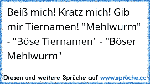 Beiß mich! Kratz mich! Gib mir Tiernamen! "Mehlwurm" - "Böse Tiernamen" - "Böser Mehlwurm"