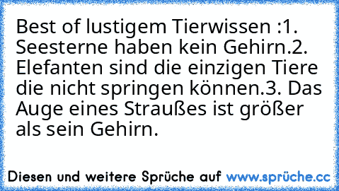 Best of lustigem Tierwissen :
1. Seesterne haben kein Gehirn.
2. Elefanten sind die einzigen Tiere die nicht springen können.
3. Das Auge eines Straußes ist größer als sein Gehirn.