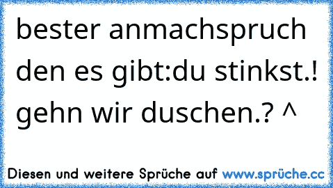 bester anmachspruch den es gibt:
du stinkst.! gehn wir duschen.? ^