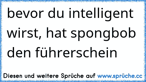 bevor du intelligent wirst, hat spongbob den führerschein