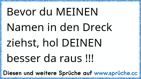 Bevor du MEINEN Namen in den Dreck ziehst, hol DEINEN besser da raus !!!