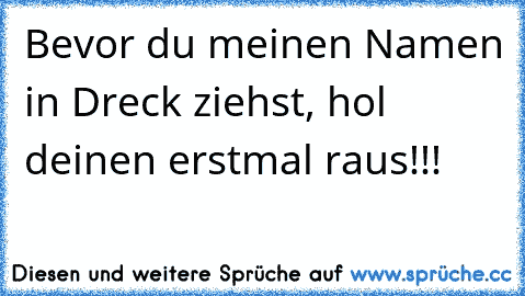 Bevor du meinen Namen in Dreck ziehst, hol deinen erstmal raus!!! ☢