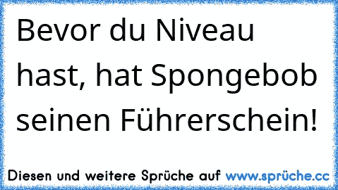 Bevor du Niveau hast, hat Spongebob seinen Führerschein!