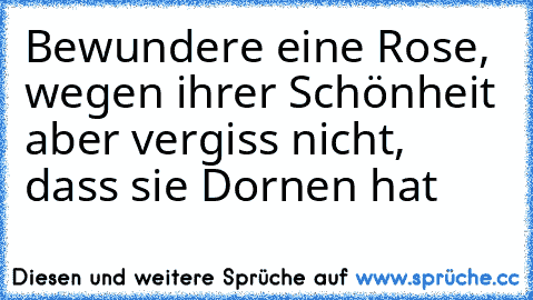 Bewundere eine Rose, wegen ihrer Schönheit aber vergiss nicht, dass sie Dornen hat‘