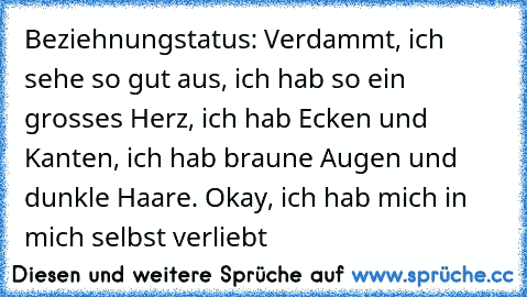 Beziehnungstatus: Verdammt, ich sehe so gut aus, ich hab so ein grosses Herz, ich hab Ecken und Kanten, ich hab braune Augen und dunkle Haare. Okay, ich hab mich in mich selbst verliebt 