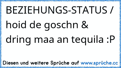 BEZIEHUNGS-STATUS / hoid de goschn & dring maa an tequila :P