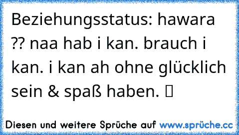 Beziehungsstatus: hawara ?? naa hab i kan. brauch i kan. i kan ah ohne glücklich sein & spaß haben. ツ