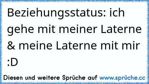 Beziehungsstatus: ich gehe mit meiner Laterne & meine Laterne mit mir :D