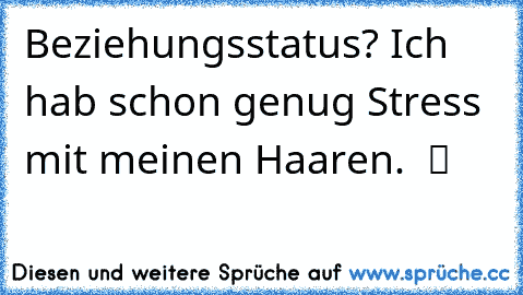 Beziehungsstatus? Ich hab schon genug Stress mit meinen Haaren.  ツ