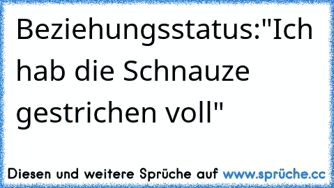 Beziehungsstatus:"Ich hab die Schnauze gestrichen voll"