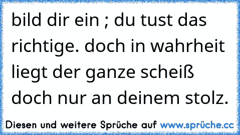 bild dir ein ; du tust das richtige. doch in wahrheit liegt der ganze scheiß doch nur an deinem stolz.