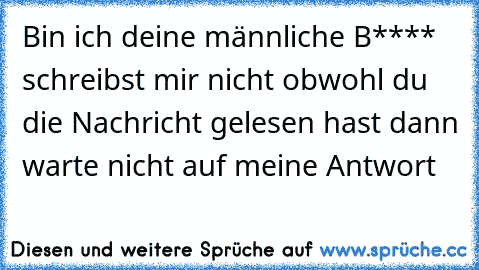 Bin ich deine männliche B**** schreibst mir nicht obwohl du die Nachricht gelesen hast dann warte nicht auf meine Antwort