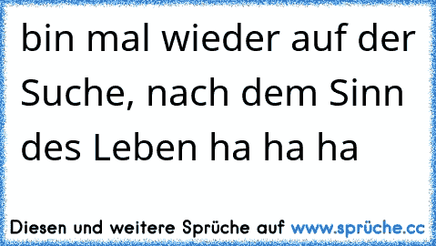 bin mal wieder auf der Suche, nach dem Sinn des Leben ha ha ha