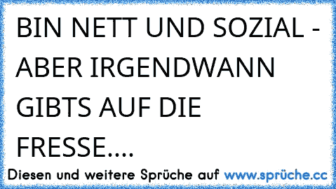 BIN NETT UND SOZIAL - ABER IRGENDWANN GIBTS AUF DIE FRESSE....   ☺ ☺ ☺ ☺ ☺ ☺ ☺