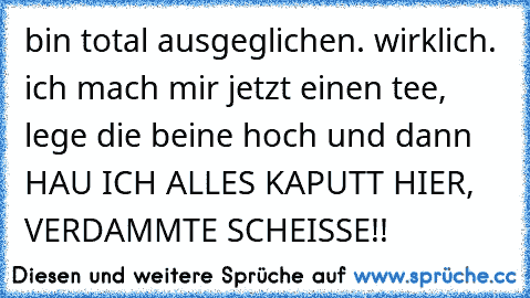 bin total ausgeglichen. wirklich. ich mach mir jetzt einen tee, lege die beine hoch und dann HAU ICH ALLES KAPUTT HIER, VERDAMMTE SCHEISSE!!