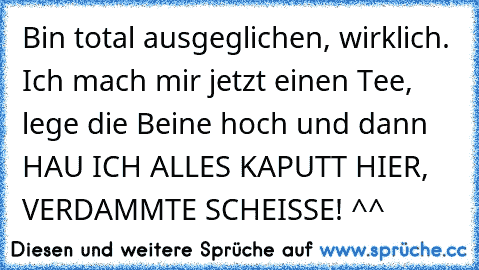 Bin total ausgeglichen, wirklich. Ich mach mir jetzt einen Tee, lege die Beine hoch und dann HAU ICH ALLES KAPUTT HIER, VERDAMMTE SCHEISSE! ^^