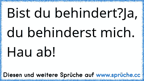 Bist du behindert?
Ja, du behinderst mich. Hau ab!