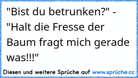 "Bist du betrunken?" - "Halt die Fresse der Baum fragt mich gerade was!!!"