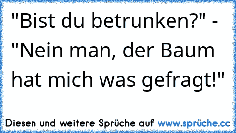 "Bist du betrunken?" - "Nein man, der Baum hat mich was gefragt!"