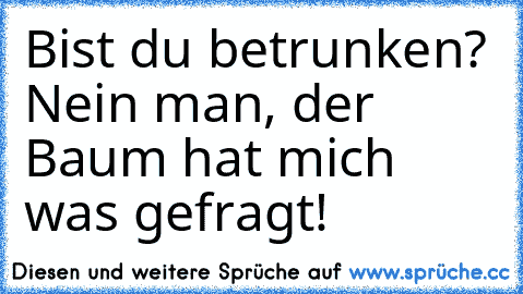 Bist du betrunken? Nein man, der Baum hat mich was gefragt!