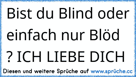 Bist du Blind oder einfach nur Blöd ? ICH LIEBE DICH 