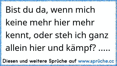 Bist du da, wenn mich keine mehr hier mehr kennt, oder steh ich ganz allein hier und kämpf? .....