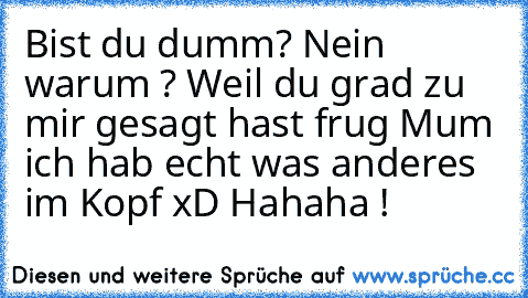 Bist du dumm? Nein warum ? Weil du grad zu mir gesagt hast frug Mum ich hab echt was anderes im Kopf xD Hahaha !